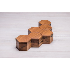 Коробочка-органайзер для 6 годинників ecoWalnut 7.3х43.4х18.8 см Вінниця