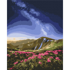 Картина за номерами BrushMe "Чорногора © Roksolana Baran" 40х50см BS53753 Братское