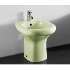 Біде підлогове RAK Ceramics Compact RAK0001 Зелений (1704938057) Нововолынск
