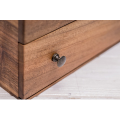 Бокс для зберігання наручних годинників ecoWalnut 14.9х20.8х18 см Львів