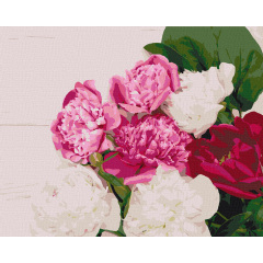 Картина за номерами Art Craft Піонова фієста 40 * 50 см 13107-AC Киев