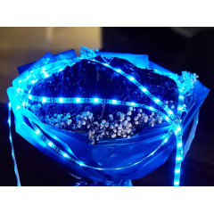 Стрічка світлодіодна з пультом Hoco DL30 RGB 4 м Чорний (2382866768) Михайлівка