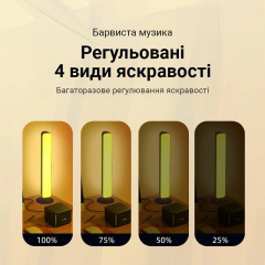 Світлодіодні RGB панелі Inspire S042 28LED Оріхів