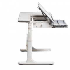 Функциональная парта-трансформер Fundesk Fiore 1200х600х520-760 мм Grey (1501453134) Дубно