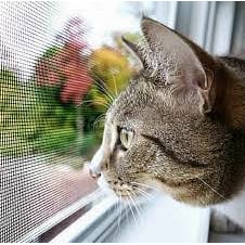 Сетка-антикошка для безопасности домашнего питомца