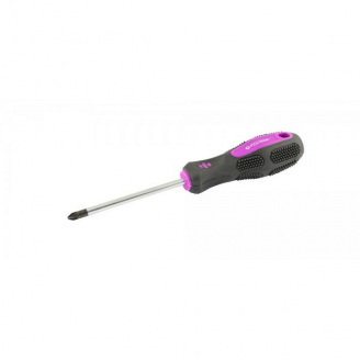 Викрутка хрестова РZ2*100 MASTERTOOL GM (48-5910)