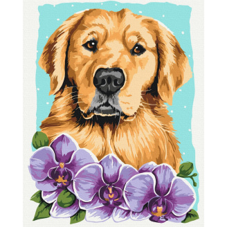 Картина за номерами BrushMe 