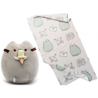 Комплект 2Life М'яка іграшка Pusheen cat 12х15 см та рушник 50х100 см v-12445