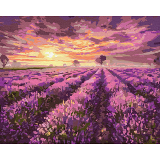 Картина за номерами BrushMe 