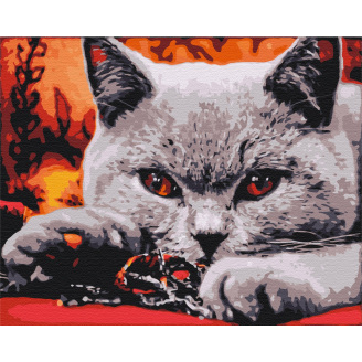 Картина за номерами BrushMe 