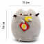 Комплект М'яка іграшка кіт з чіпсами VOLRO Pusheen cat та Антистрес іграшка Mokuru (vol-726) Запорожье