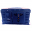 Инвертор напряжения Carmaer Power Inverter 028 c 12V на 220V 1200W модифицированная синусоида Gold (11067-hbr) Калуш