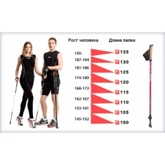 Треккинговые палки для скандинавской ходьбы 2 шт Feel Fit MS 2019-1-RD Красный Київ