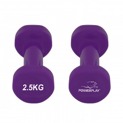 Гантели виниловые PowerPlay 4125 Achilles 2*2.5 кг Фиолетовые (2шт.) Токмак
