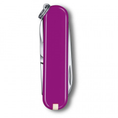 Складной нож Victorinox Classic SD Colors Tasty Grape 58 мм 7 функций Пурпурный (0.6223.52G) Лубны