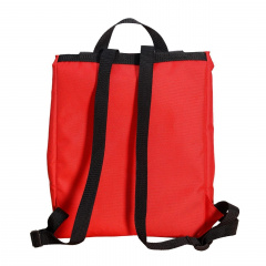 Терморюкзак Фастекс VS Thermal Eco Bag красный Луцк