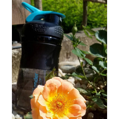 Шейкер спортивный Blender Bottle SportMixer 20oz/590ml Black Teal (1838397999) Кам'янське