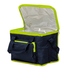 Термосумка Time Eco TE-3015SX 15 л Київ