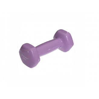 Гантели для фитнеса с виниловым покрытием Profi MODERN TA-2777-0,5 Violet (SKL0342)