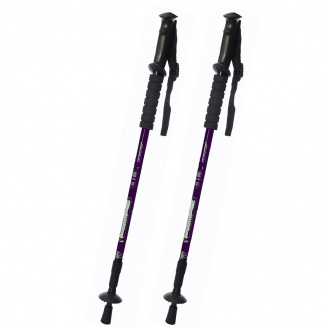 Треккинговые палки для скандинавской ходьбы 2 шт Feel Fit MS 2019-1-WL Фиолетовый
