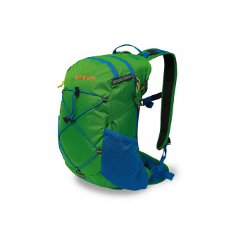 Рюкзак Pinguin Ride 25 2020 Green (1033-PNG 308143)