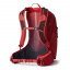 Рюкзак Gregory Biosync-Miko 25 л Red (1053-145276/9973) Володарск-Волынский