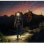 Фонарь налобный Biolite Headlamp 750 Темно-Зеленый Дніпро