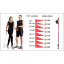 Треккинговые палки для скандинавской ходьбы 2 шт Feel Fit MS 2019-1-RD Красный Київ