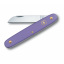 Швейцарский нож Victorinox Floral садовый 100 мм 1 функция фиолетовый в блистре (3.9050.22B1) Дніпро