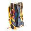 Рюкзак Deuter Race Curry/Ivy (1052-3207018 9203) Новояворівськ