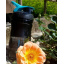 Шейкер спортивный бутылка BlenderBottle SportMixer 20oz/590ml Black/Teal Original Костопіль