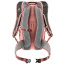 Рюкзак Deuter Race 16 Chestnut (1052-3204223 9512) Жмеринка