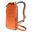 Рюкзак Deuter Stepout 22 л Chestnut-Ivy (1052-3815223 9206) Борисполь