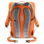 Рюкзак Deuter Stepout 22 л Chestnut-Ivy (1052-3815223 9206) Борисполь