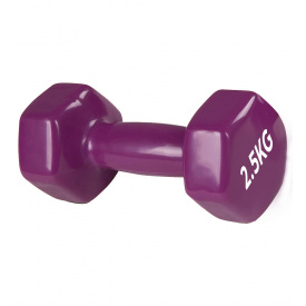 Гантель PowerPlay 4125 вінілова 2.5 кг Фіолетова