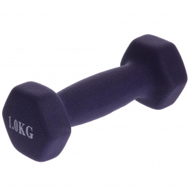 Гантель для фитнеса SP-Planeta Радуга TA-0001-1 1 шт 1 кг Фиолетовый (282389)