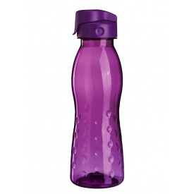 Бутылка для питья ERNESTO 0,7 Фиолетовый (IAN339542 violet)