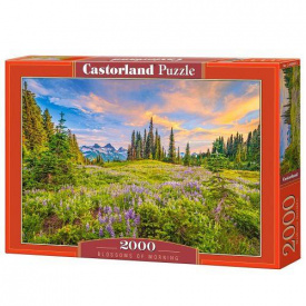Пазли Castorland Ранкові квіти 2000 елементів 92х68 см Різнокольоровий C-200863
