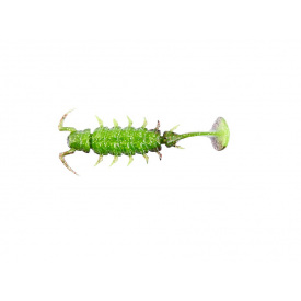Приманка силикон Alien Bug Lucky John Pro Series 2.5in / 63мм / 7шт / цвет T48 140165-T48