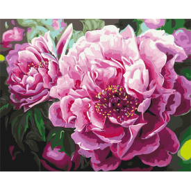 Картина за номерами BrushMe "Розкішні півонії" 40х50см BS4667