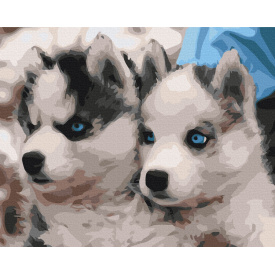 Картина за номерами Brushme XL Цуценята хаски 48х60 см Різнокольоровий BS3797L