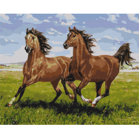 Картина за номерами BrushMe "Скакуни на пробіжці" 40х50см BS51966