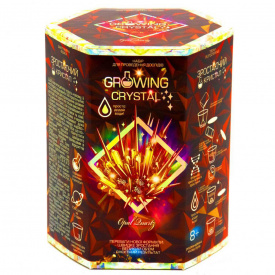 Детский набор для опытов GROWING CRYSTAL Danko Toys GRK-01 Opal