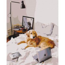 Картина за номерами Brushme Домашній офіс 40х50 см Різнокольоровий BS52477