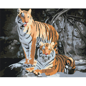 Картина за номерами BrushMe "Дикі тигри" 40х50см BS52793