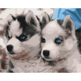 Картина за номерами BrushMe "Цуценята хаскі" 40х50см BS3797