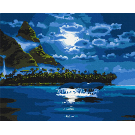 Картина за номерами BrushMe "Місячна ніч" 40х50см BS33220