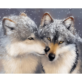 Картина за номерами BrushMe "Ніжне почуття" 40х50см BS27710