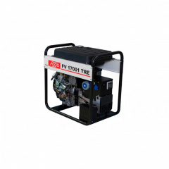 Генератор Fogo FV17001TRE 14,9kW, двиг.BS (FV 17001 TRE) Киев