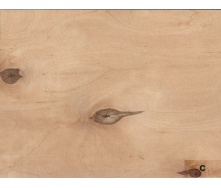 Фанера ФК 2500x1250x4 мм 4/4 (C/C) ЕКО ЛІС (власне виробництво)